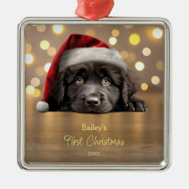 Niedliche Weihnachtsmannmütze für Hunde in Neufund Ornament Aus Metall