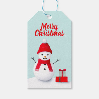 Niedliche Weihnachtsschneemännchen in Pastellfarbe Geschenkanhänger