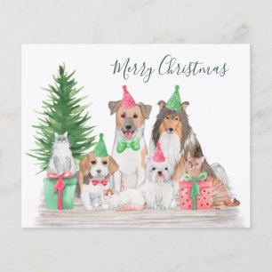Niedliche Weihnachtstiere Hundekatze Welpe Kitten