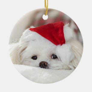 Niedliche Weihnachtsweiße Malteser Welpenhund Keramik Ornament