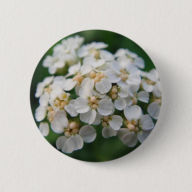Niedliche weiß Blüten Button (Vorderseite)