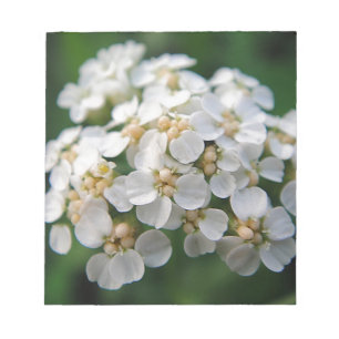 Niedliche weiß Blüten Notizblock