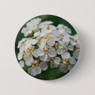 Niedliche weisse Blüten Button