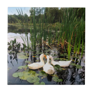 Niedliche weiße Enten, Lilienpads, Cattails, Seeuf Fliese