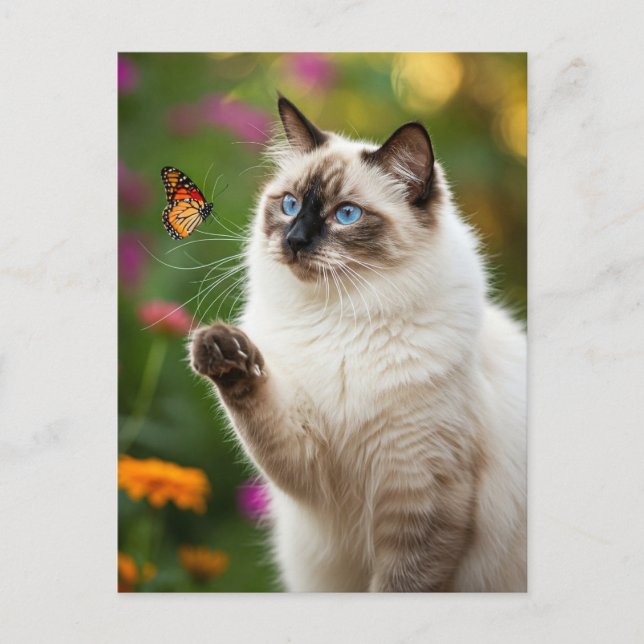 Niedliche Weiße Katze Schmetterling Blaue Augen Po Postkarte (Vorderseite)