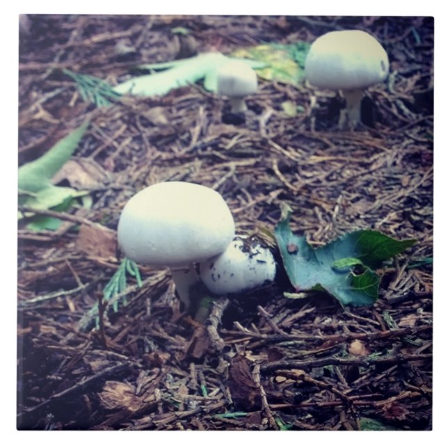 Niedliche weiße Pilze Fliese (Vorderseite)