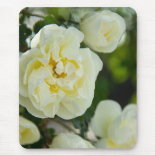 Niedliche Weißrosen für positive Mousepad