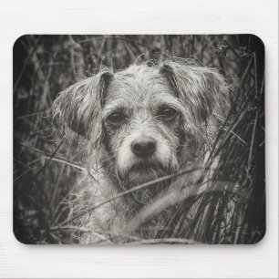 Niedliche Welpe Black and Whie Portrait Fotografie Mousepad