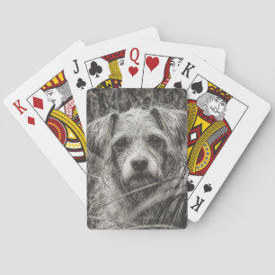 Niedliche Welpe Black and Whie Portrait Fotografie Spielkarten