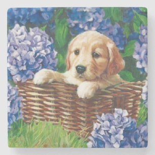 Niedliche Welpe in einem Korb Steinuntersetzer