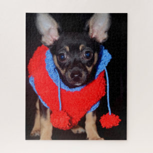Niedliche Welpe in Red Wool Sweater