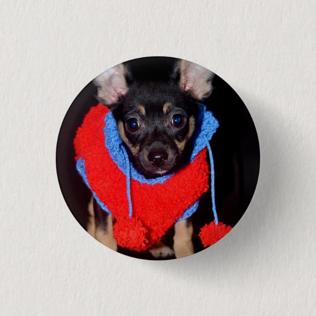 Niedliche Welpe in Red Wool Sweater Button (Vorderseite)