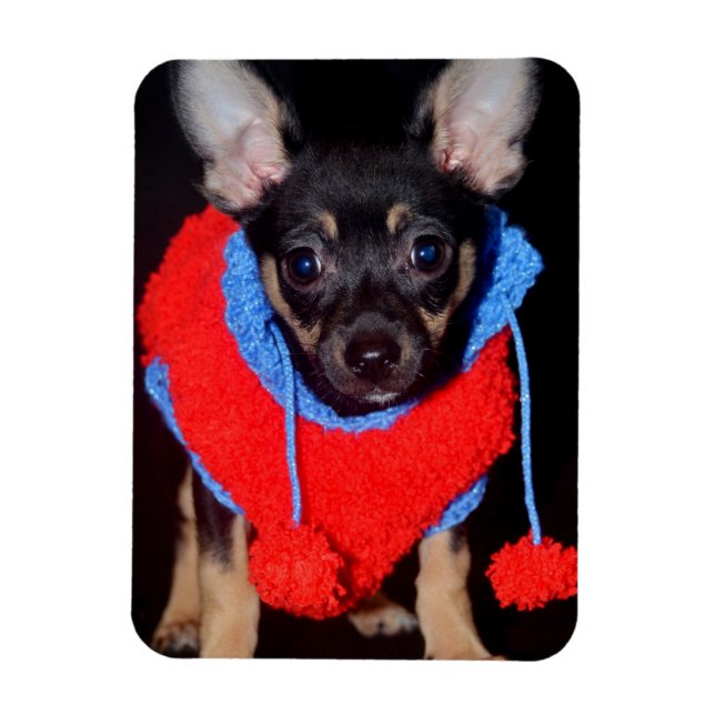 Niedliche Welpe in Red Wool Sweater Magnet (Vertikal)