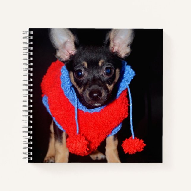 Niedliche Welpe in Red Wool Sweater Notizbuch (Vorderseite)