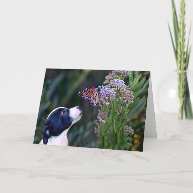 Niedliche Welpe und Schmetterling Danke Karte (Vorderseite)