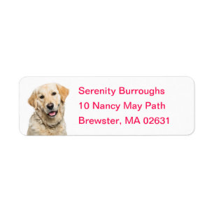 Niedliche Welpen-Cartoon-Hund-Mama Golden Retrieve