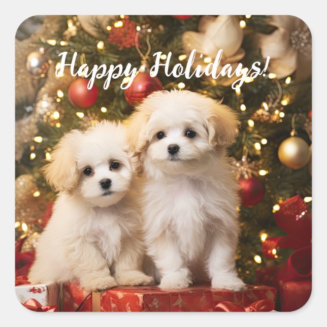 Niedliche Welpen Hunde Happy Holidays Weihnachten Quadratischer Aufkleber (Vorderseite)