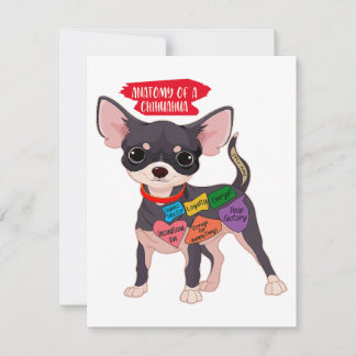 Niedliche Welpengeschenkanatomie eines Chihuahua Dankeskarte