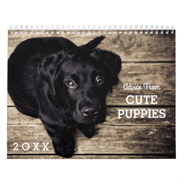 Niedliche Welpenhunde Funny Inspiration 20XX Kalender (Titelbild)