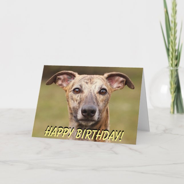 Niedliche whippet Geburtstagskarte Karte (Vorderseite)