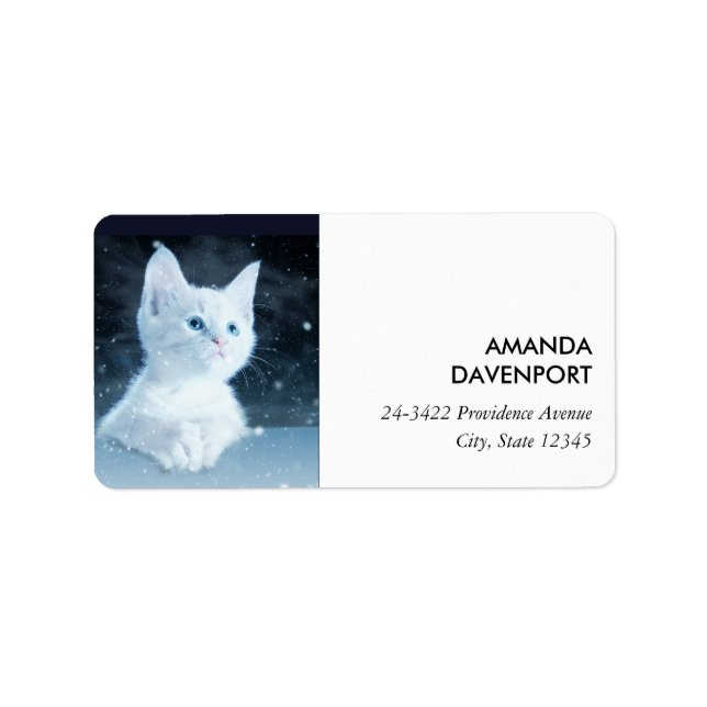 Niedliche White Kitten mit Hübschen Blue Eyes Adressaufkleber (Vorne)