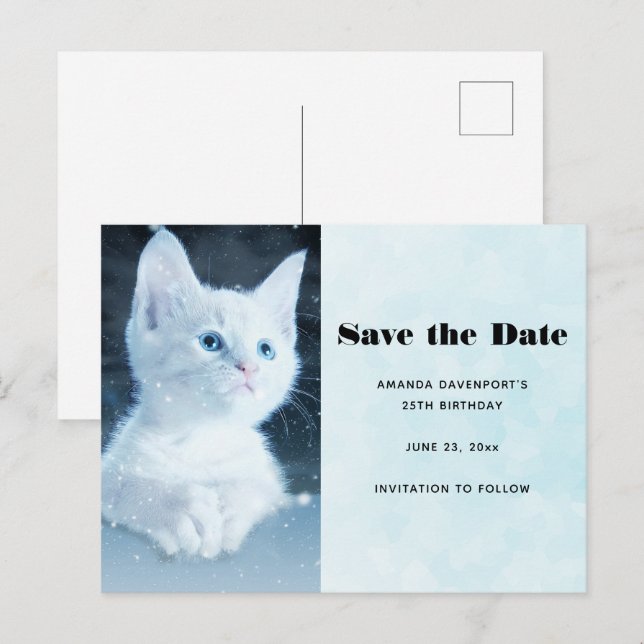 Niedliche White Kitten mit Hübschen Blue Eyes Einladungspostkarte (Vorne/Hinten)