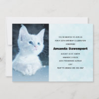 Niedliche White Kitten mit Hübschen Blue Eyes Gebu