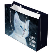 Niedliche White Kitten mit Hübschen Blue Eyes Gebu