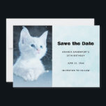 Niedliche White Kitten mit Hübschen Blue Eyes Save The Date<br><div class="desc">Save the Date Karte mit einem bezaubernden Foto eines weißen,  kurz haarigen Kätzchens mit hellblauen Augen. Steht in die Ferne. Paws kreuzen in typischer Kätzchenmode.</div>