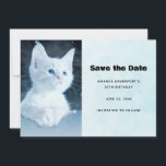 Niedliche White Kitten mit Hübschen Blue Eyes Save The Date<br><div class="desc">Save the Date Karte mit einem bezaubernden Foto eines weißen,  kurz haarigen Kätzchens mit hellblauen Augen. Steht in die Ferne. Paws kreuzen in typischer Kätzchenmode.</div>