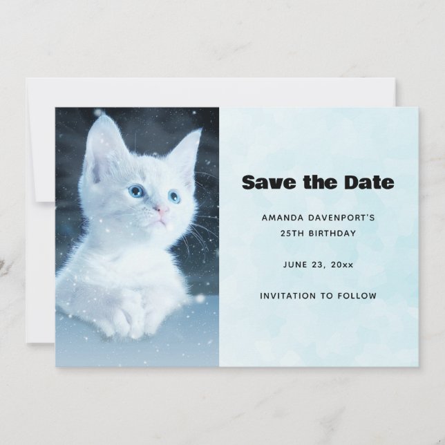 Niedliche White Kitten mit Hübschen Blue Eyes Save The Date (Vorderseite)