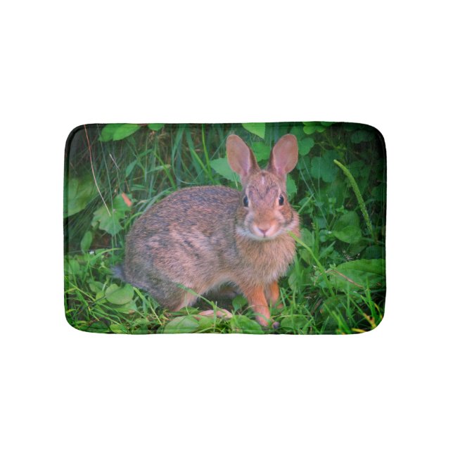 Niedliche Wildbraun-Kaninchen  Badematte (Vorderseite)
