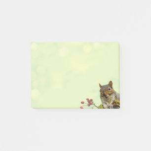 Niedliche wilde Eichhörnchen auf lindgrün Post-it Klebezettel