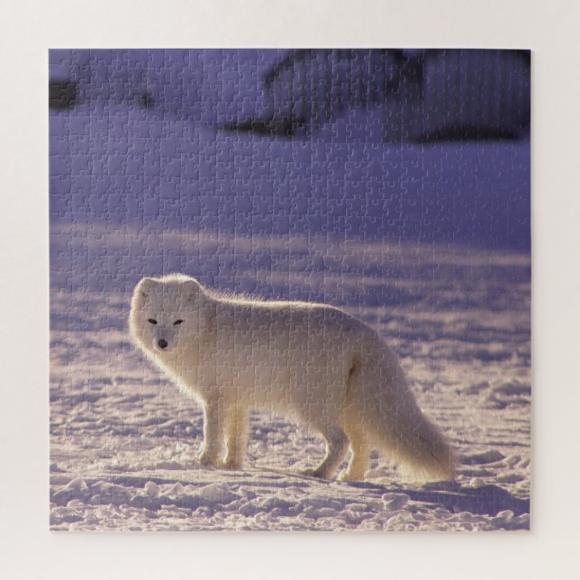 Niedliche Winterfotografie des Schneefräses (Vertikal)