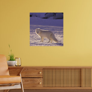 Niedliche Winterfotografie des Schneefräses Poster