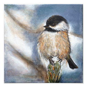 Niedliche Wintermalerei auf der Chickadee Fotodruck