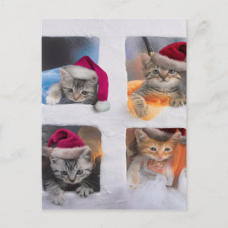 Niedliche X-mas-Kätzchen in Windows Postkarte
