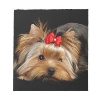 Niedliche Yorkie Notizblock