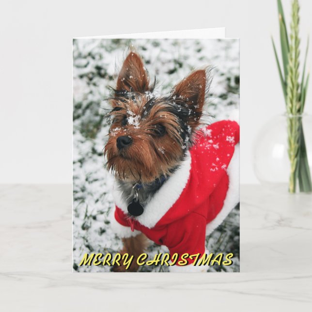 Niedliche Yorkie Weihnachtskarte Feiertagskarte (Vorderseite)