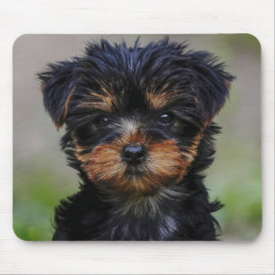 Niedliche Yorkie-Welpe Mousepad