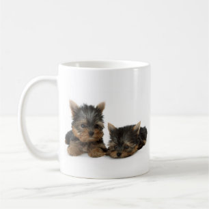 Niedliche Yorkshire Terrier Welpen Kaffeetasse