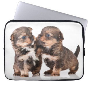 Niedliche Yorkshire-Terrier-Welpen Laptopschutzhülle
