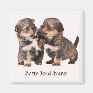 Niedliche Yorkshire-Welpen Magnet