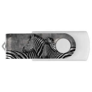 Niedliche Zebra-Herden-Natur-Safari Schwarz-weiß USB Stick