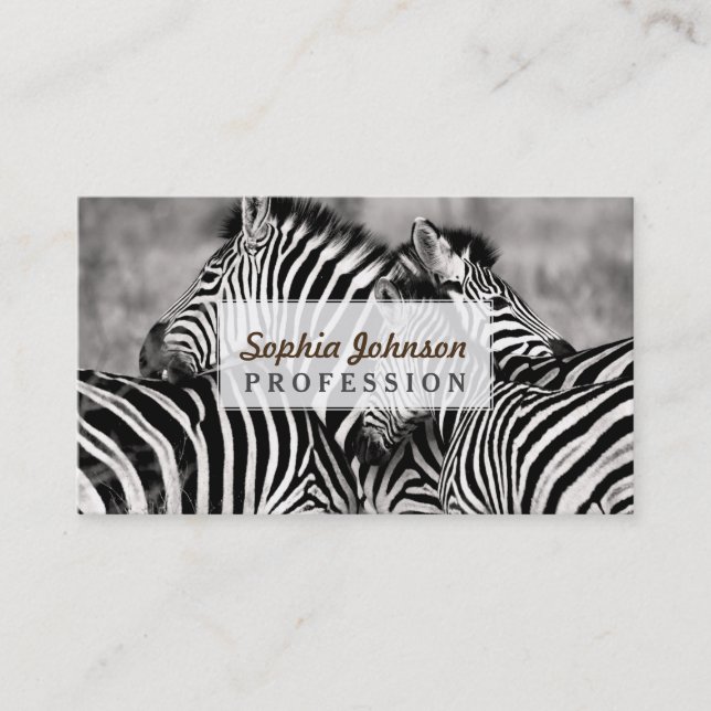 Niedliche Zebra-Herden-Natur-Safari Schwarz-weiß Visitenkarte (Vorderseite)