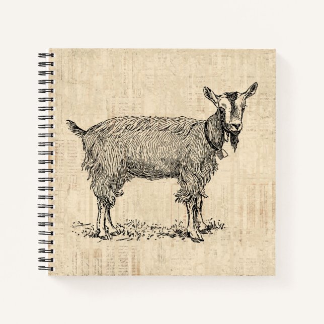 Niedliche Ziege mit Bell Illustration Antike Schri Notizbuch (Vorderseite)