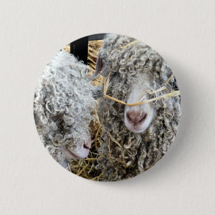 NIEDLICHE ZIEGEN BUTTON