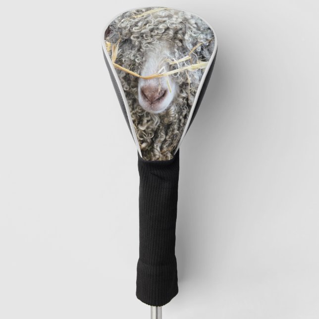 NIEDLICHE ZIEGEN GOLF HEADCOVER (Vorderseite)