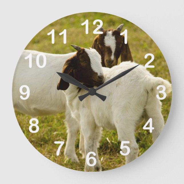 Niedliche Ziegenboote - Schnecken Große Wanduhr (Vorderseite)