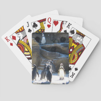 Niedliche Zoo penquins Spielkarten
